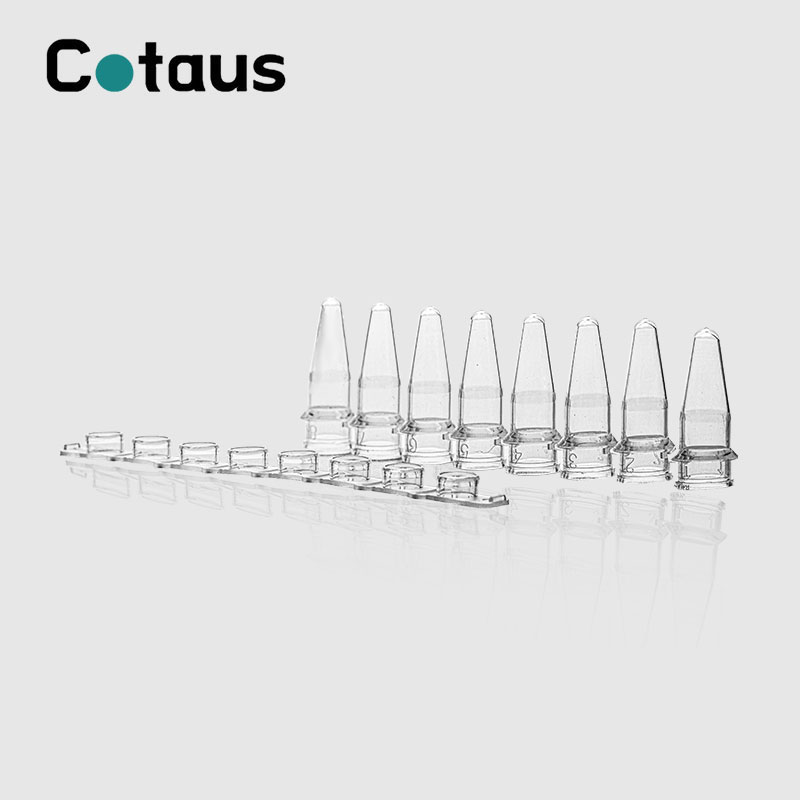 0.2ml transparan PCR 8-tib Tib