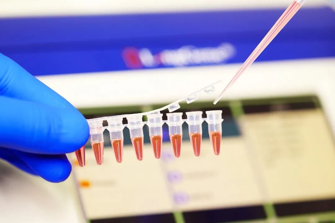 Ki jan yo chwazi PCR/qPCR consommables?