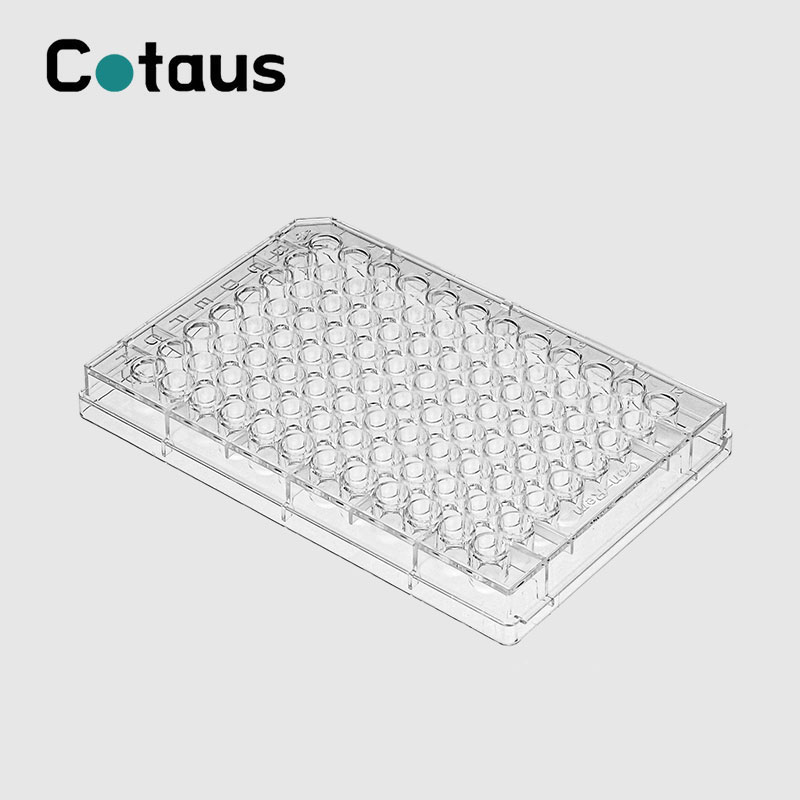 Entwodiksyon Elisa Plate